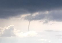 Unusual sightings