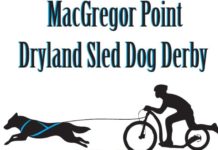 Dryland Sled Dog Derby returns to MacGregor