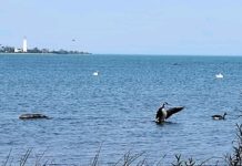 Thanksgiving weekend weather to be thankful for
