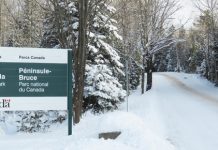 Winter beauty on the Bruce Peninsula