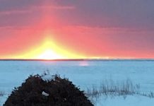 Winter sunsets can be spectacular