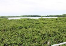 Province deals a blow to well-being of watersheds