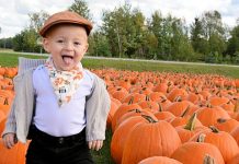 A perfect Fall day to be in a pumpkin patch
