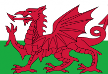 March 1st – St. David’s Day, a day of celebration for the Welsh