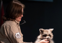 Get Wild with the Bruce County Museum & Cultural Centre!