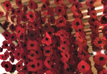 Poppies from around the world sent to Niagara Museum