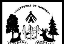 Avian flu confirmed in Grey-Bruce