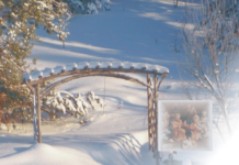 New story collection adds sparkle to the Season: Christmas Seasonings – Book Two