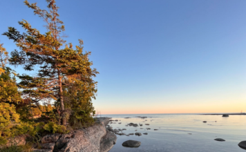 Consolidation of Conservation Authorities an ill-conceived idea says coalition of experts