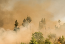 Bruce Power donates to Canadian wildfire relief through Red Cross