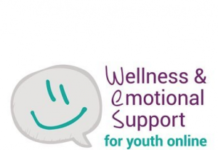 WES for Youth Online uses OTF Grant to advance Mental Health E-Counselling