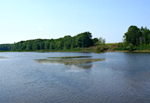 Pinkerton Flooding Update