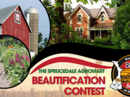 IPM Beautification Contest now officially open