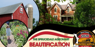 IPM Beautification Contest now officially open